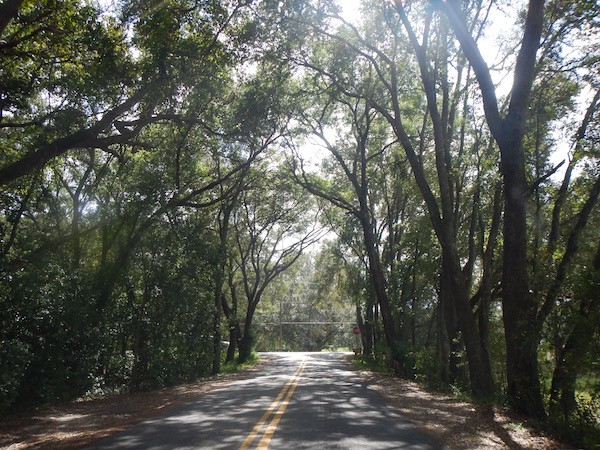 A Pixie, a Chicken, and a Jester meet on the road to a Cracker Swamp